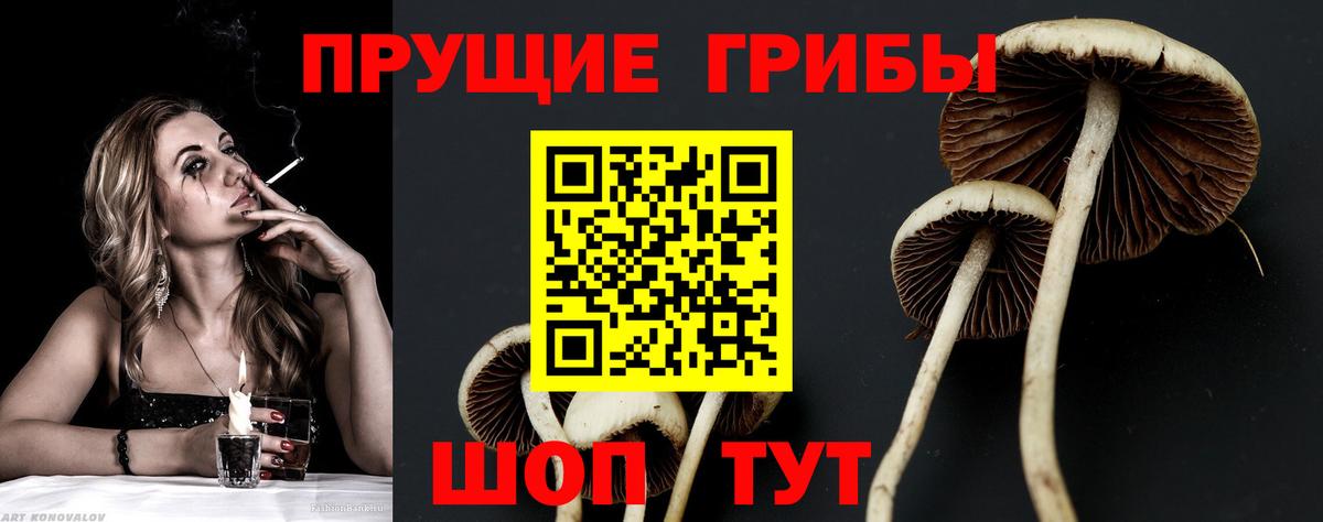 Галлюциногенные грибы мухоморы  Вход с VPN  Кубинка  даркнет сайт  Галлюциногенные грибы мухоморы 